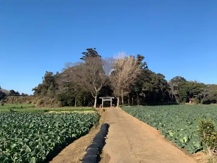諏訪大神(千葉県)
