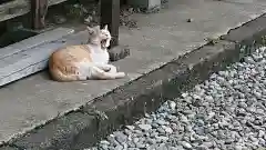 唐澤山神社の動物