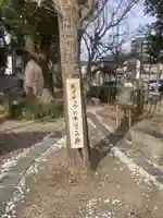 多奈波太神社(愛知県)