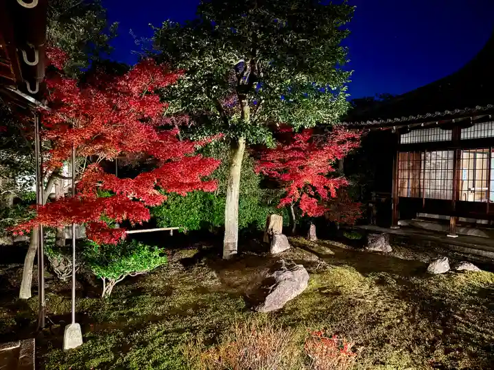 建仁寺(建仁禅寺)(京都府)