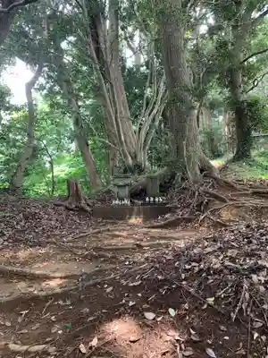 丸山神社(千葉県)