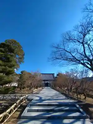  智積院の{uncategorized: "未分類", other: "その他", undefined: "問題あり", building: "その他建物", grave: "お墓", sacred_gate: "鳥居", guardian: "狛犬", statue: "像", buddha: "仏像", history: "歴史", nature: "自然", garden: "庭園", animal: "動物", pagoda: "塔", temizu: "手水舎", mountain_gate: "山門・神門", sanctuary: "本殿・本堂", subordinate: "末社・摂社", art: "芸術", scenery: "景色", jizo: "地蔵", ema: "絵馬", goshuin: "御朱印", omikuji: "おみくじ", items: "授与品その他", amulet: "お守り", goshuincho: "御朱印帳", eats: "食事", festival: "お祭り", votive_dance: "神楽", shichigosan: "七五三参", wedding: "結婚式", experience: "体験その他", initially: "初詣", around: "周辺", anti_infection: "感染症対策"}