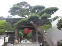 長谷寺の山門・神門