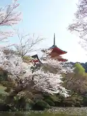 清水寺の建物その他