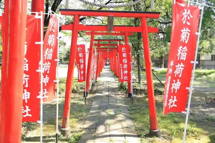 於菊稲荷神社(群馬県)