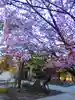彌彦神社 (伊夜日子神社)の自然