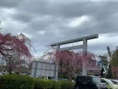 櫻木神社の鳥居