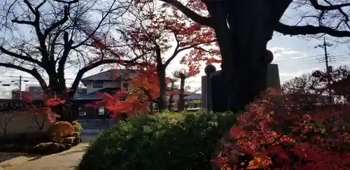 大勝院(千葉県)