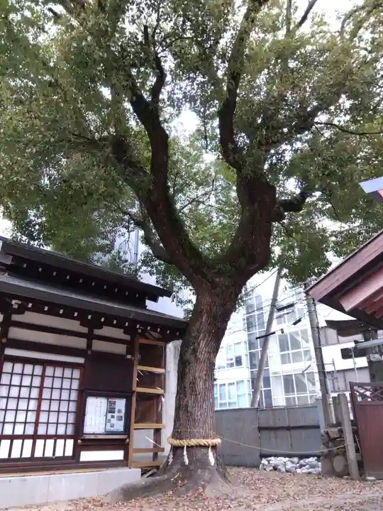 堀川戎神社の庭園
