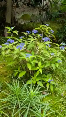 尊陽院(京都府)