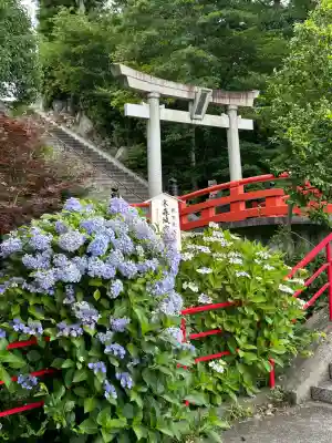 城山八幡宮(愛知県)