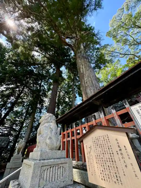 佐々尾神社(京都府)