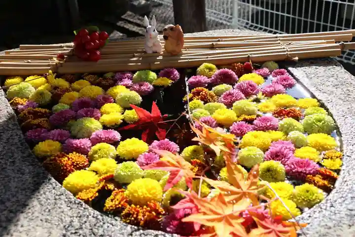 阿邪訶根神社の手水舎