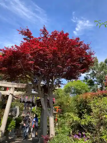 横浜御嶽神社の鳥居