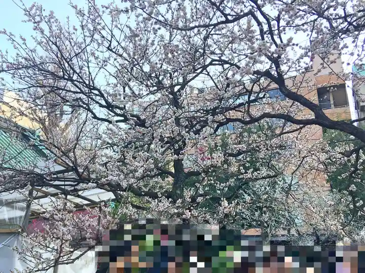 湯島天満宮の庭園