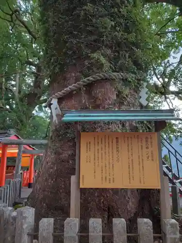 熊野那智大社(和歌山県)