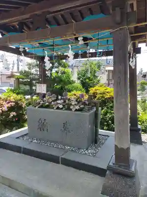 豊景神社の手水舎