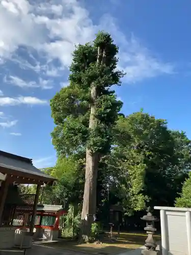 富岡八幡宮(神奈川県)