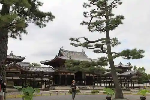 平等院の建物その他