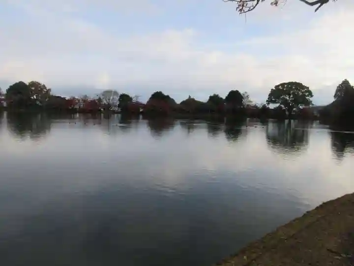 大覚寺(京都府)