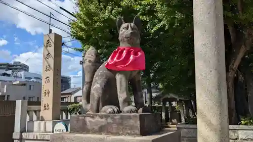 飛木稲荷神社の狛犬