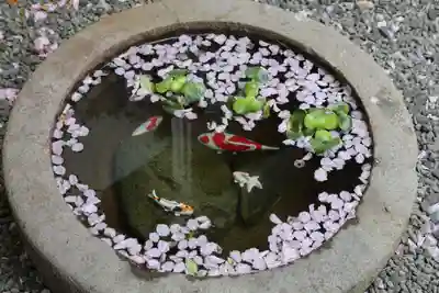 西野神社の手水舎
