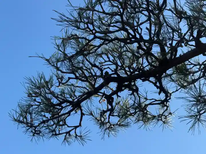 西方山極楽寺(岐阜県)