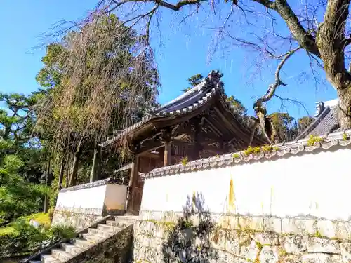 高月院の山門