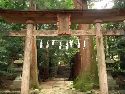 萩日吉神社(埼玉県)