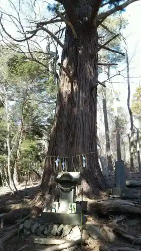 横山不動尊の自然