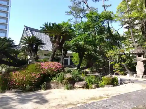 海清寺(兵庫県)