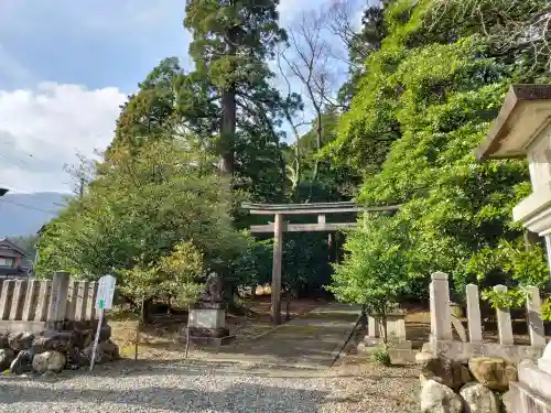 若狭彦神社（上社）の{uncategorized: "未分類", other: "その他", undefined: "問題あり", building: "その他建物", grave: "お墓", sacred_gate: "鳥居", guardian: "狛犬", statue: "像", buddha: "仏像", history: "歴史", nature: "自然", garden: "庭園", animal: "動物", pagoda: "塔", temizu: "手水舎", mountain_gate: "山門・神門", sanctuary: "本殿・本堂", subordinate: "末社・摂社", art: "芸術", scenery: "景色", jizo: "地蔵", ema: "絵馬", goshuin: "御朱印", omikuji: "おみくじ", items: "授与品その他", amulet: "お守り", goshuincho: "御朱印帳", eats: "食事", festival: "お祭り", votive_dance: "神楽", shichigosan: "七五三参", wedding: "結婚式", experience: "体験その他", initially: "初詣", around: "周辺", anti_infection: "感染症対策"}