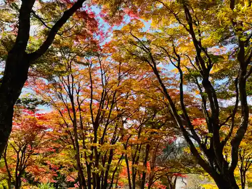 土津神社｜こどもと出世の神さまの自然