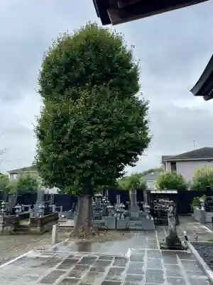 正徳寺(千葉県)