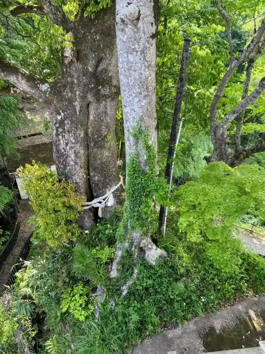 笠森寺(千葉県)
