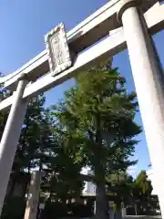 福井神社(福井県)