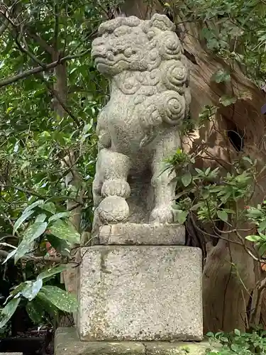 八雲神社（鎌倉・大町）の狛犬