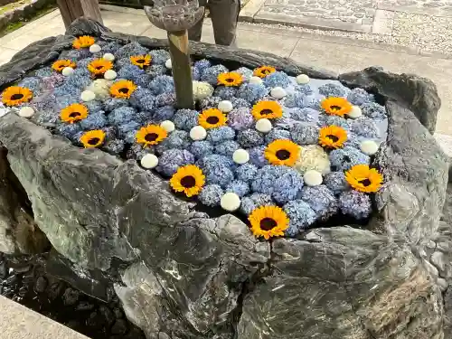 常念寺(愛知県)