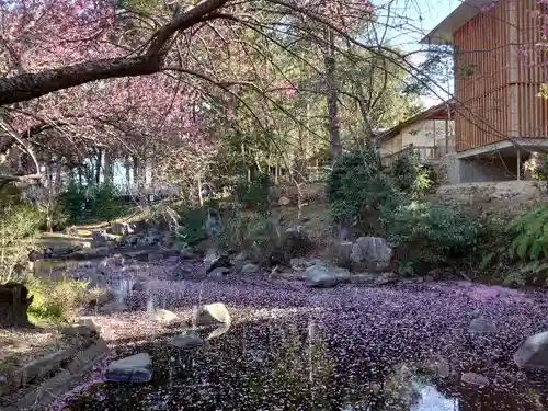 井伊谷宮の庭園