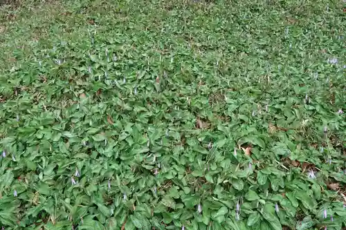 達身寺(兵庫県)