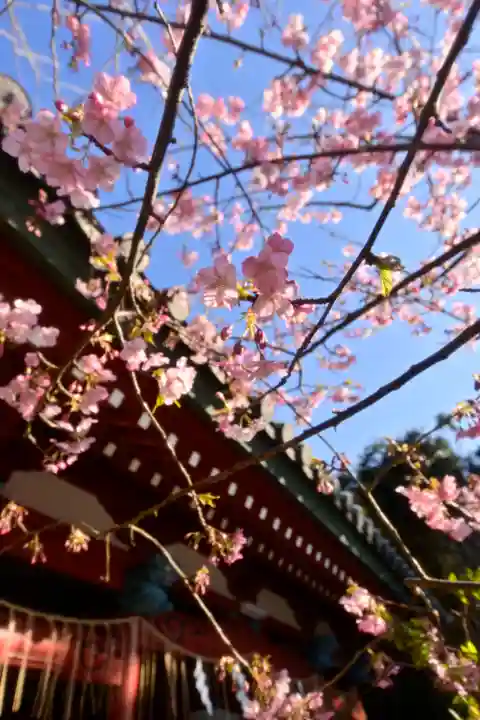 洲崎神社(千葉県)