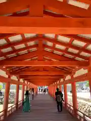 厳島神社(広島県)