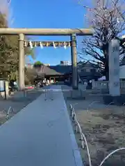 浅草神社(東京都)