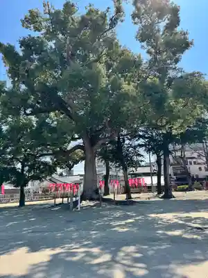 許麻神社(大阪府)
