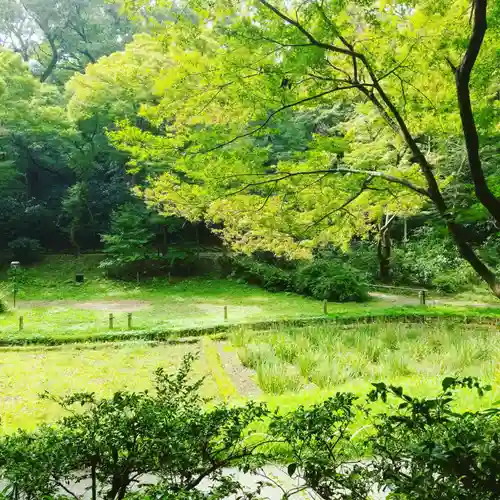 明治神宮の庭園