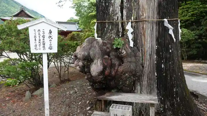 中禅寺立木観音(栃木県)