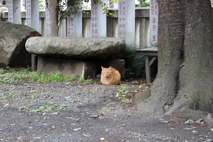 くまくま神社(導きの社 熊野町熊野神社)の動物
