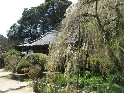 大野寺のその他建物