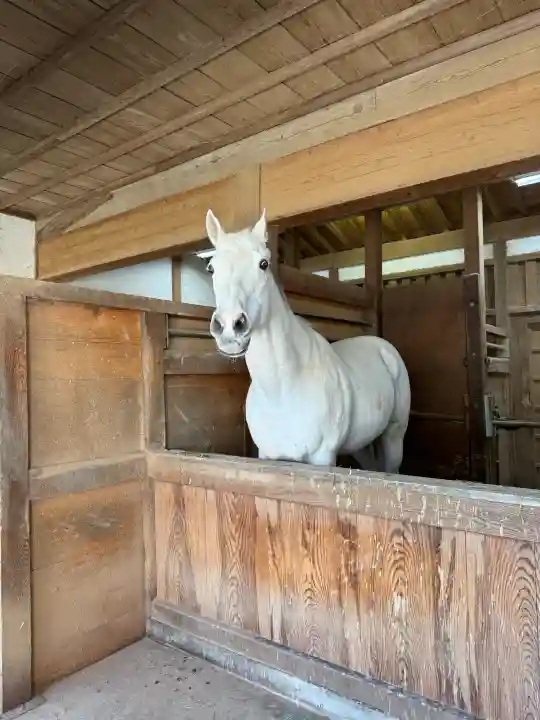 金刀比羅宮の{uncategorized: "未分類", other: "その他", undefined: "問題あり", building: "その他建物", grave: "お墓", sacred_gate: "鳥居", guardian: "狛犬", statue: "像", buddha: "仏像", history: "歴史", nature: "自然", garden: "庭園", animal: "動物", pagoda: "塔", temizu: "手水舎", mountain_gate: "山門・神門", sanctuary: "本殿・本堂", subordinate: "末社・摂社", art: "芸術", scenery: "景色", jizo: "地蔵", ema: "絵馬", goshuin: "御朱印", omikuji: "おみくじ", items: "授与品その他", amulet: "お守り", goshuincho: "御朱印帳", eats: "食事", festival: "お祭り", votive_dance: "神楽", shichigosan: "七五三参", wedding: "結婚式", experience: "体験その他", initially: "初詣", around: "周辺", anti_infection: "感染症対策"}