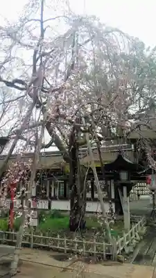平野神社のその他建物